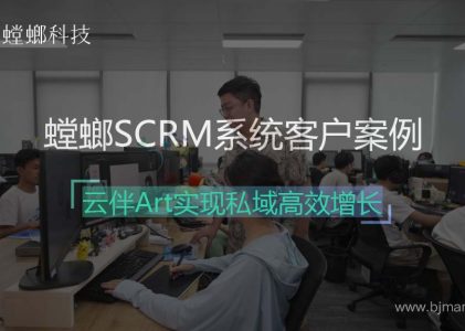 螳螂SCRM系统客户案例之云伴Art