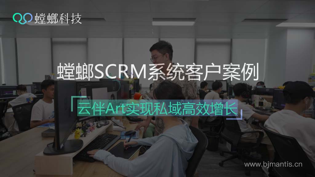 螳螂SCRM系统客户案例之云伴Art