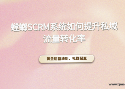 如何巧用SCRM系统提升私域流量转化率？