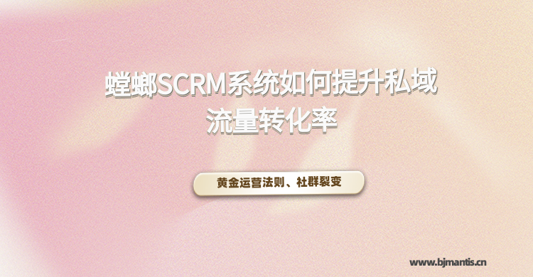 如何巧用SCRM系统提升私域流量转化率？