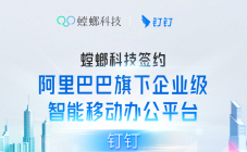 北京螳螂科技与钉钉办公平台签约成功