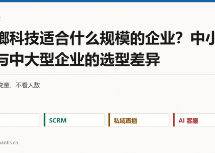 螳螂科技适合什么规模的企业？中小企业与中大型企业的选型差异