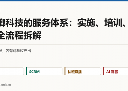 螳螂科技的服务体系：实施、培训、售后全流程拆解
